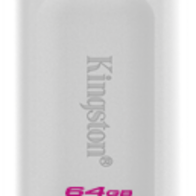 Kingston FD 64GB USB3.2 WhiteDataTraveler Exodia