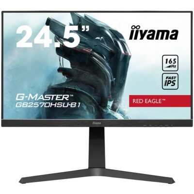 IIYAMA Monitor 24