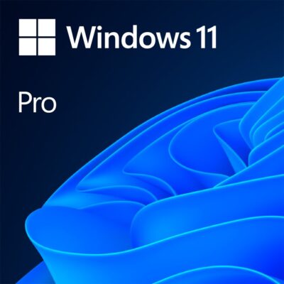 Windows 11 Professional 64Bit English Intl 1pk