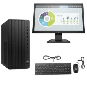 HP Pro Tower 290 G9 + Monitor HP 22"