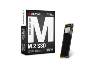 BIOSTAR 512GB SSD