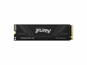 Kingston SSD 1TB NVMe M.2