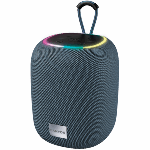 CANYON speaker BSP-8 10W Gray