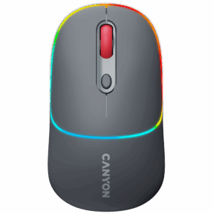 CANYON mouse MW-22 2in1 BT/ Wireless Dark Grey