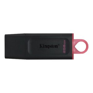 Kingston FD 256GB USB3.2 DTX