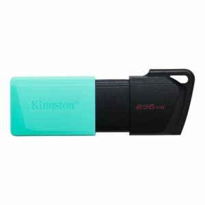 Kingston FD 256GB USB3.2 DTXM