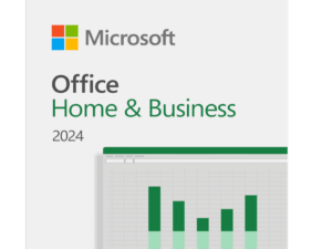 Office Home and Business 2024 FPP