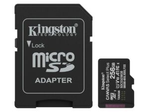 Kingston microSD 256GB Class 10
