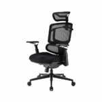 Stolica SHARKOON OfficePal C50